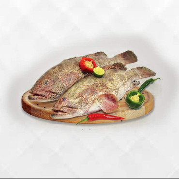 HAMOUR  FISH 1 KGS