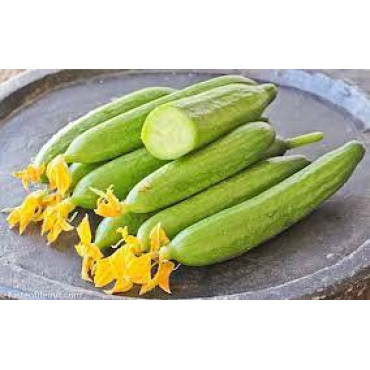 WILD CUCUMBER 1 KGS