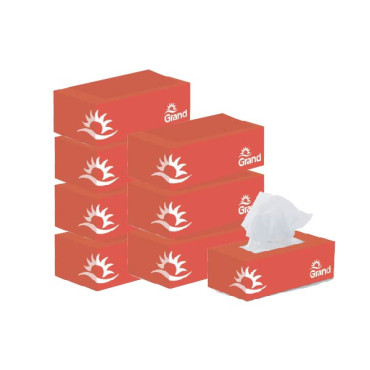 GRAND 2 PLY FACIAL TISSUES 8 X 150S 