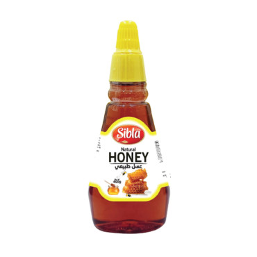 PREMIUM REAL HONEY IN PET DOME SQUEEZE 400GM