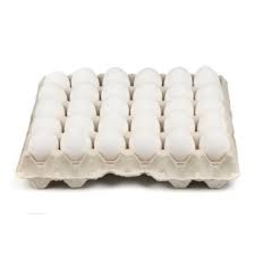 TURKEY WHITE EGG M SIZE 30S (IMP)