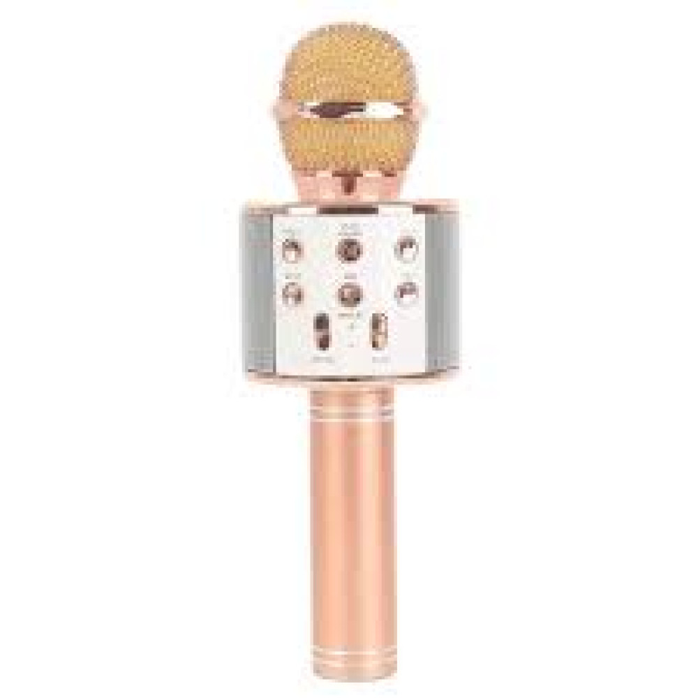 WSTER MIC WITH SPEAKER WS-858