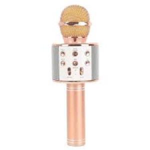 WSTER MIC WITH SPEAKER WS-858