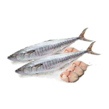 FRESH KING FISH BIG 4KG APPROX