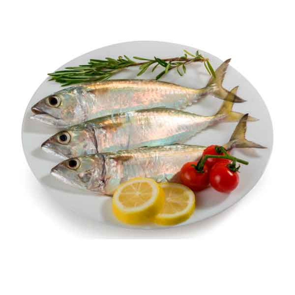FRESH MACKEREL FISH SMALL - 1KG PKT