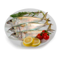 FRESH MACKEREL FISH SMALL - 1KG PKT