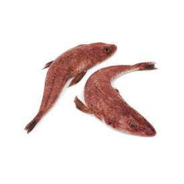 FLATHEAD FISH (VETTAN)