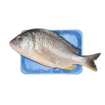 SHEEM FISH 1 KGS