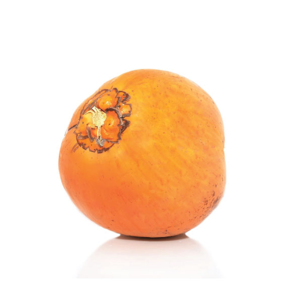 KING COCONUT - SRI LANKA - PIECE 